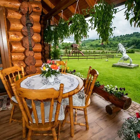 Popasul Calaretului Holiday home *